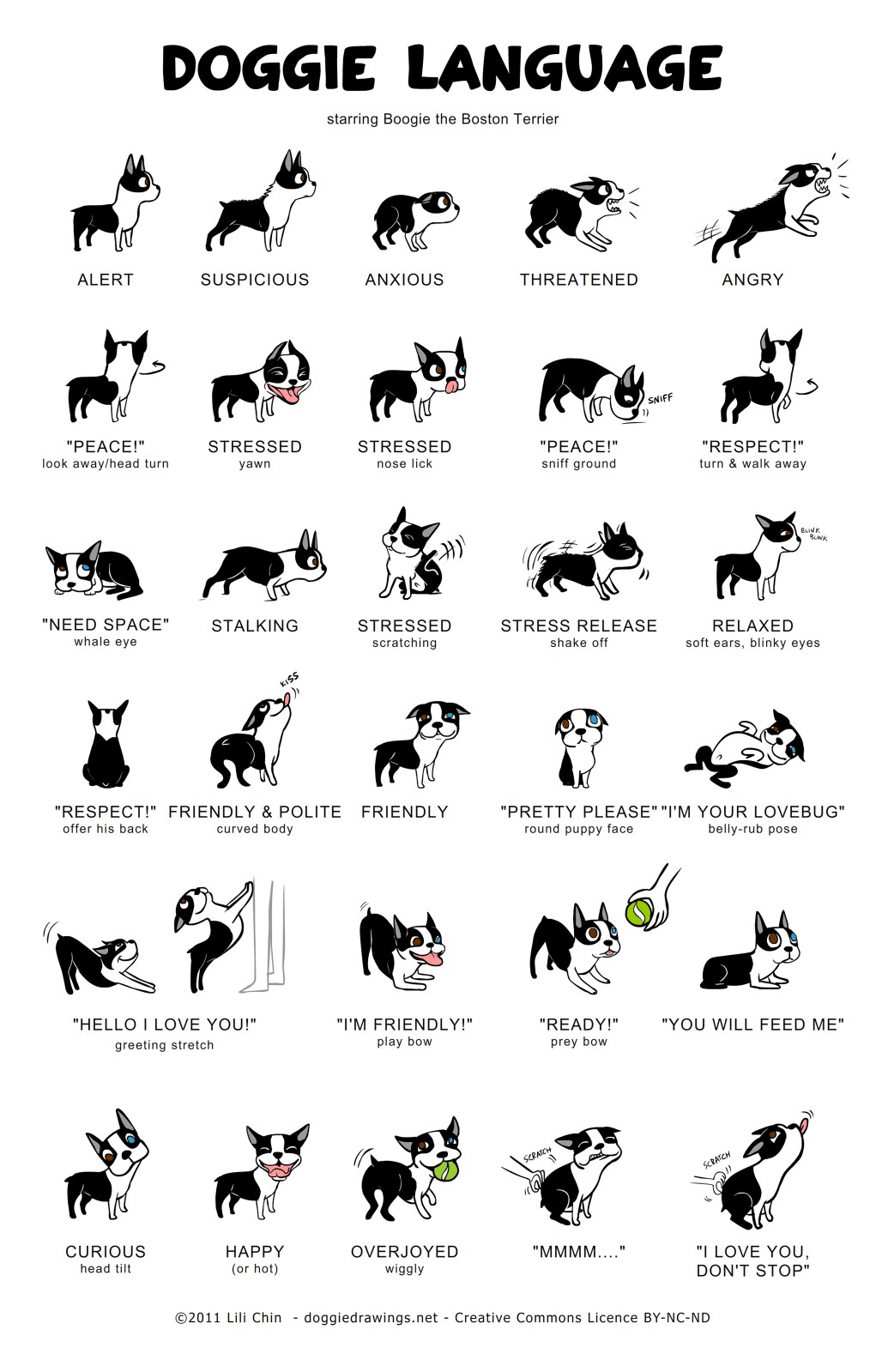 Doggie Language